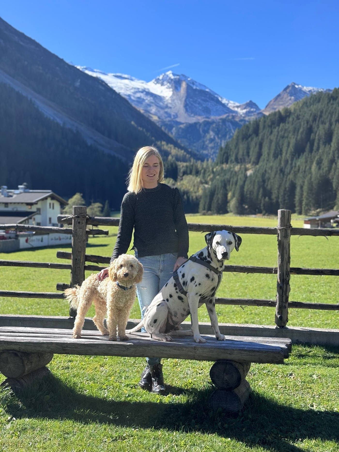Melanie Ebster mit Pudel und Dalmatiner auf einer Holzbank vor den Zillertaler Bergen