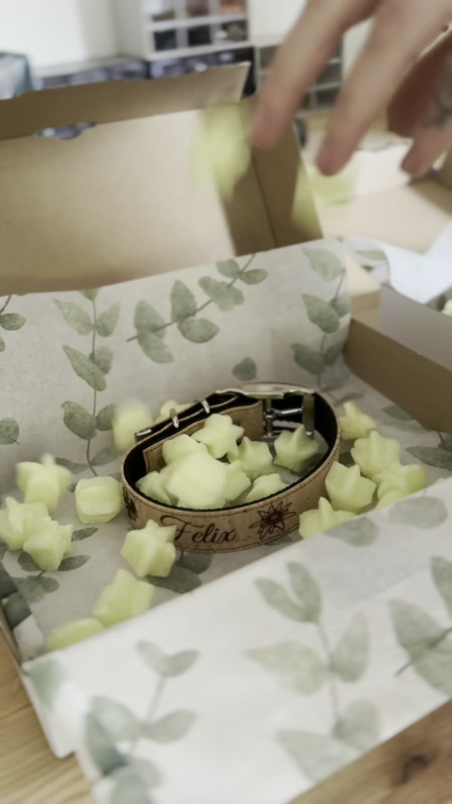 Fertiges Kork-Halsband wird in einer Schachtel verpackt
